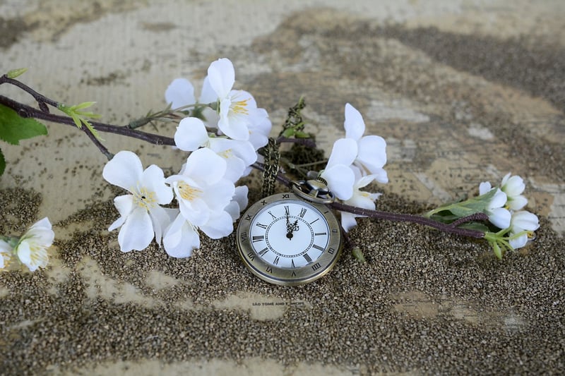 Time-Turner